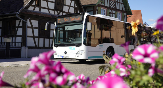 Ein Bus mit dem Fahrtanzeiger "Soufflenheim" fährt in einer idylisschen Gegend. Im Hintergrund sieht man Fachwerkhäuser und im Vordergrund blühen pinke Blüten. 