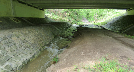 Das Bild zeigt den Raum unter einer Brücke. Links ist ein Fluss zu sehen und daneben ein Waldweg.
