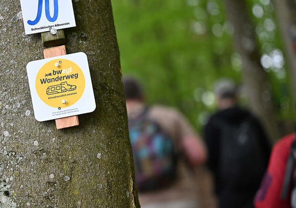 Ein Wegweißer an einem Baumstamm.