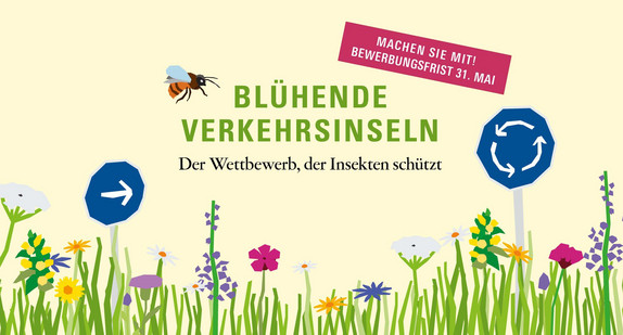 Blühende Verkehrsinseln: der Wettbewerb, der Insekten schützt. Machen Sie mit! Bewerbungsfrist 31. Mai.