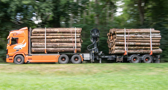 Ein Lkw beladen mit Holz steht am Waldrand.
