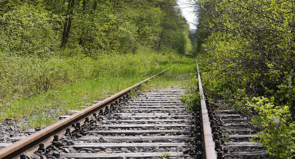 Überwachsene Bahnschienen führen in die Ferne.