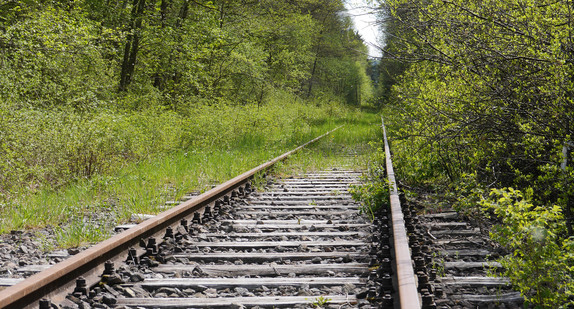 Überwachsene Bahnschienen führen in die Ferne.