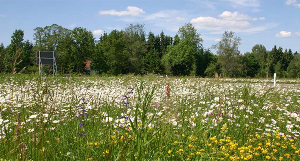 Stadt Bad Saulgau