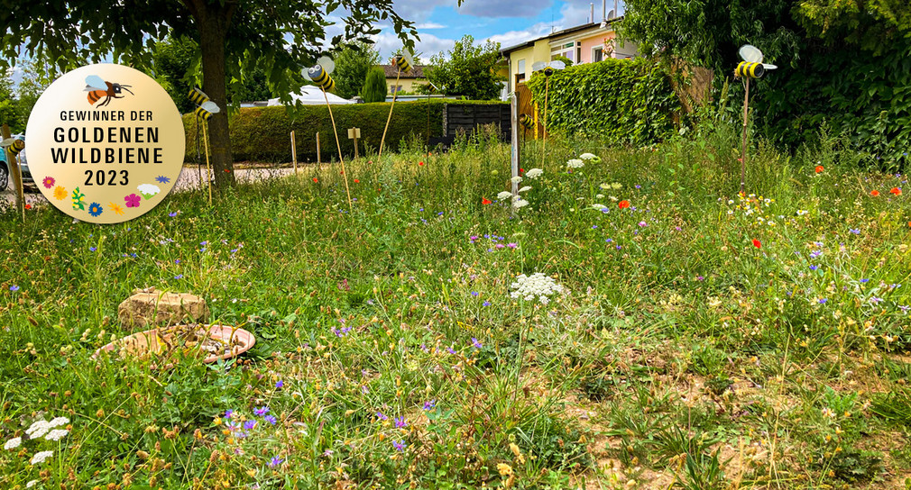 Blumenwiese in Rauenberg