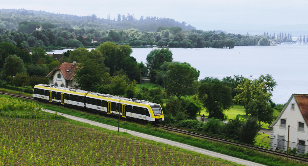 Ein Zug fährt nahe am Ufer des Bodensees vorbei durch die Weinberge.