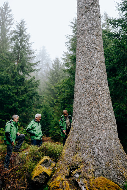 Ministerpräsident Winfried Kretschmann (Mitte) steht mit zwei weiteren Personen neben einer Weißtanne, die ihm gewidmet wurde.