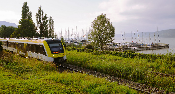 Netz 16b Bodenseegürtelbahn Ein Zug fährt am Ufer eines großen Sees durch die Weinberge.