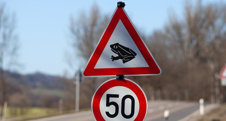 Straßenschild, das vor Amphibienwanderung warnt und reduzierte Geschwindigkeit fordert.