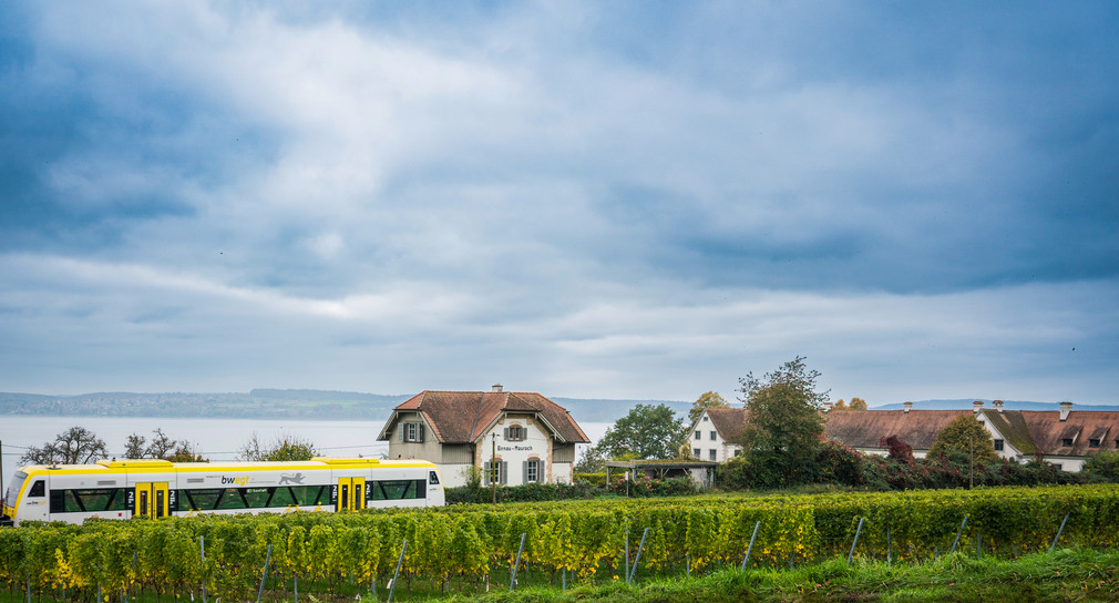Ein bwegt-Zug fährt am Bodensee vorbei. 