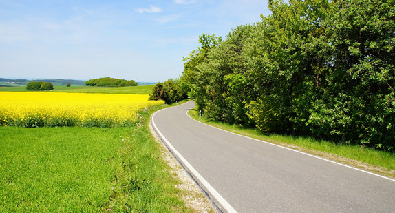 Schmale Landstraße zwischen Rapsfeld und Bäumen (Bild: Fotolia.com/ beatuerk)