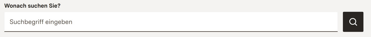 Suchfeld einer Website.