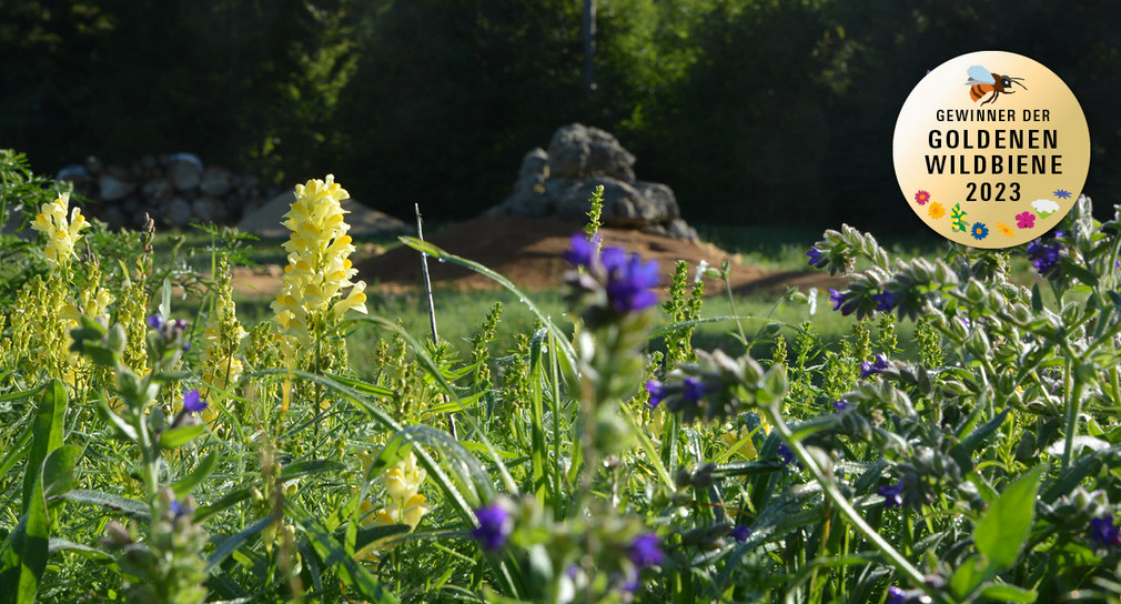 Blumenwiese im Ostalbkreis