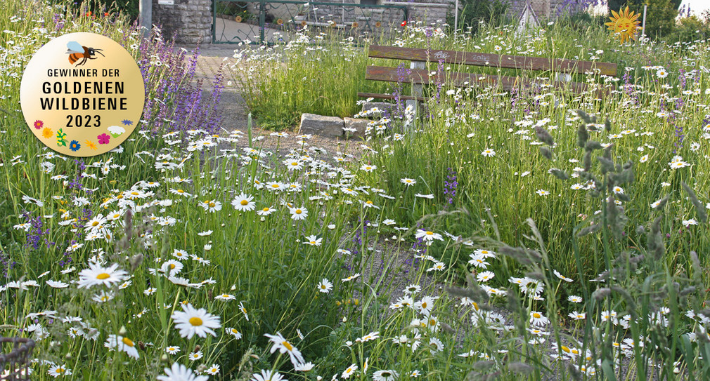 Blumenwiese im Walzbachtal