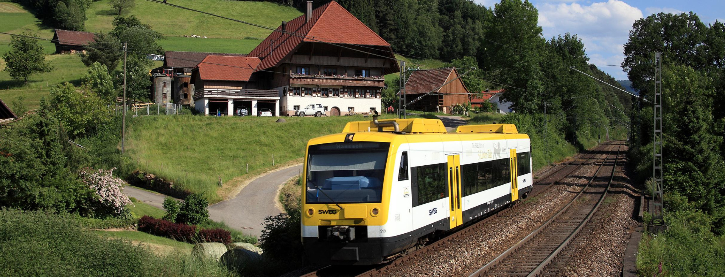 Zug der Ortenau-S-Bahn im Landesdesign (Bild: www.bahnstatistik.de)