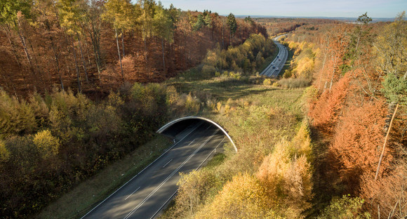 Grünbrücke über die B 464 südlich von Böblingen (Bilderquelle: Martin Stollberg)