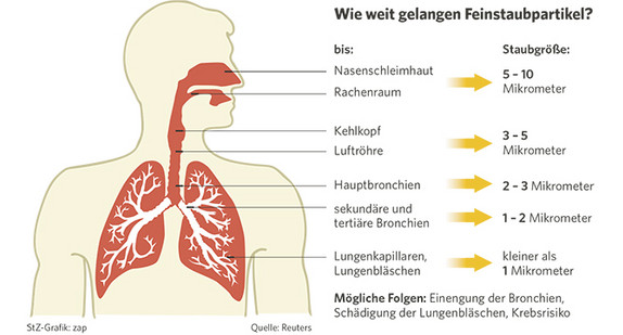 Wie weit gelangen Feinstaubpartikel? (Graphik: Stuttgarter Zeitung)