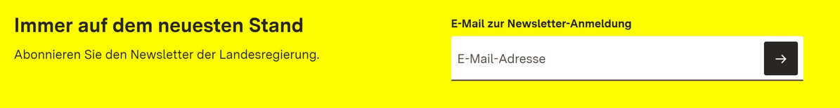 Feld fürs Eintragen einer E-Mail-Adresse auf einer Website.