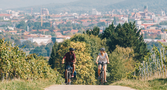 Radfahrer auf dem Badischen Weinradweg in den Reben oberhalb von Freiburg - Sankt Georgen mit Blick auf die Stadt Freiburg.