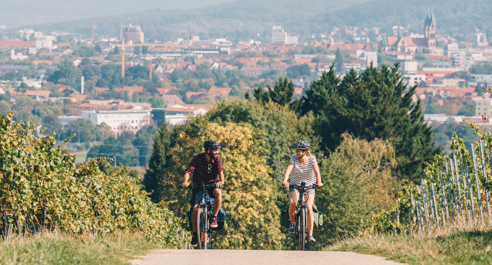Radfahrer auf dem Badischen Weinradweg in den Reben oberhalb von Freiburg - Sankt Georgen mit Blick auf die Stadt Freiburg.