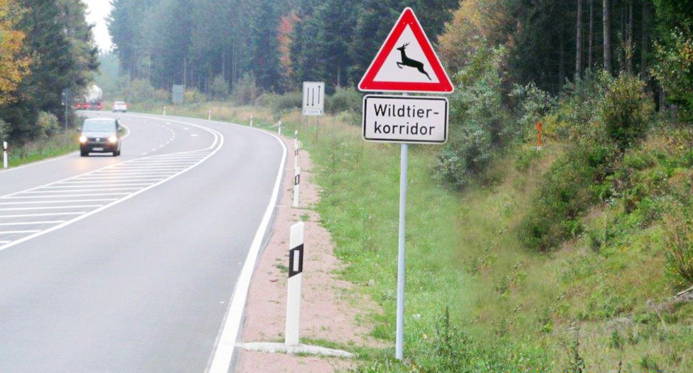 Verkehrsschild "Wildtierkorridor" (Bild: Straßenmeisterei Titisee-Neustadt)