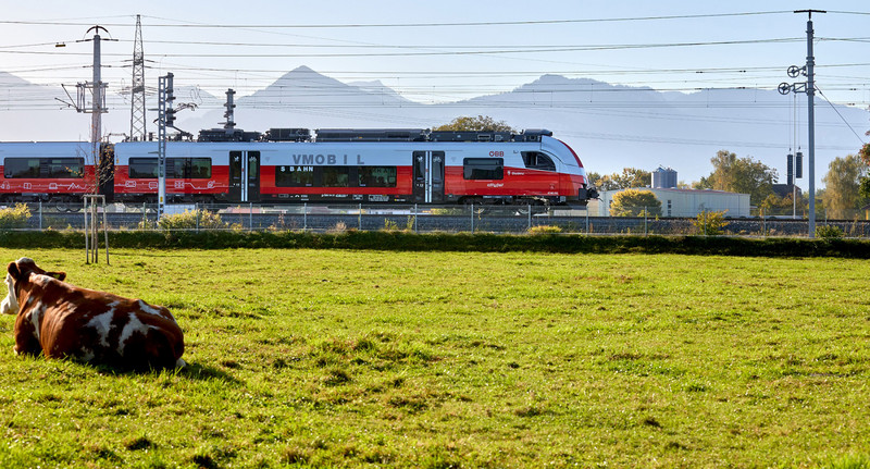 Nahverkehrszug der ÖBB vom Typ Siemens Desiro ML im Vorarlberg
